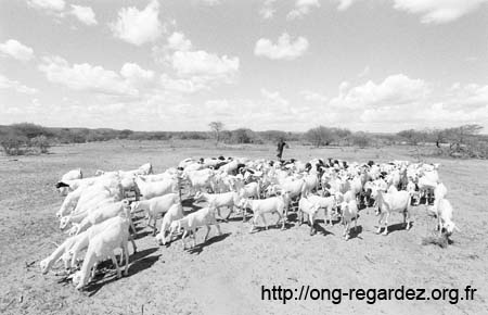 KENYA0021.jpg