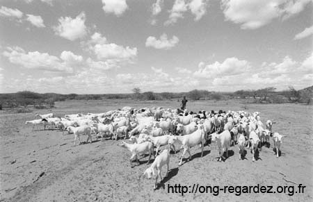 KENYA28.jpg