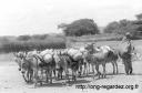 KENYA0053.jpg