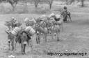 KENYA5.jpg