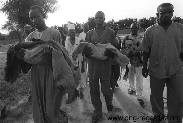 niger110.jpg