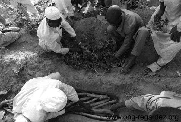niger114.jpg