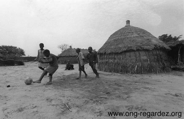 niger121.jpg
