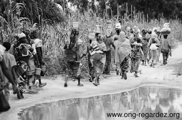 niger160.jpg