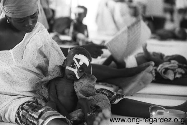 niger180.jpg