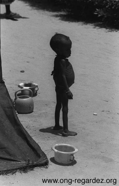 niger19.jpg