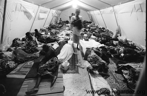 niger199.jpg