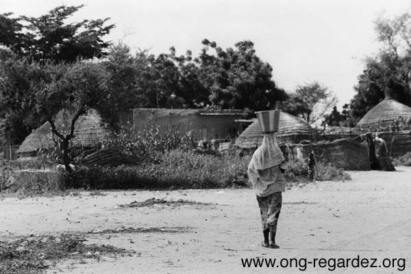 niger215.jpg