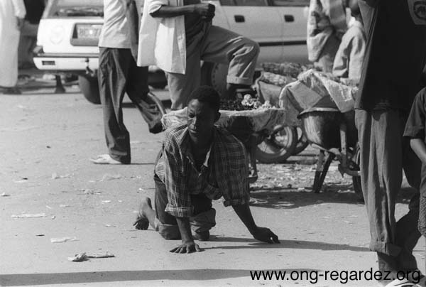 niger216.jpg