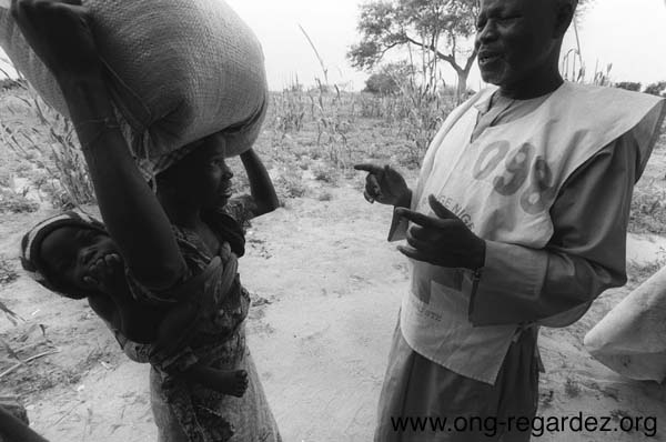niger226.jpg