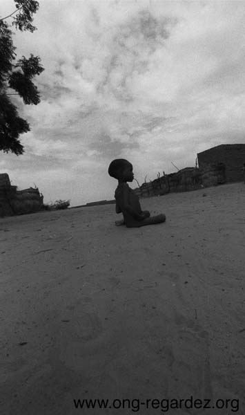 niger37.jpg