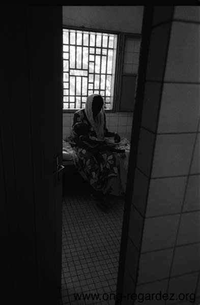niger5.jpg