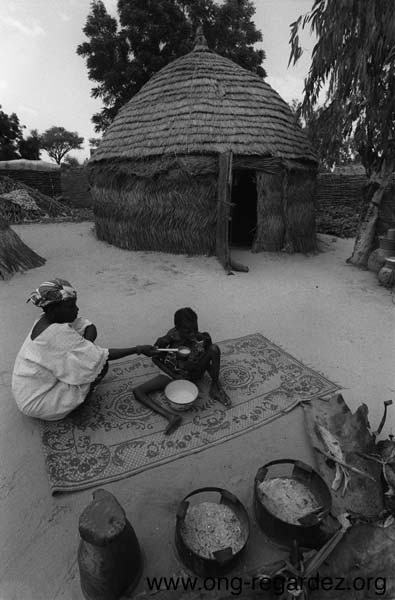 niger53.jpg