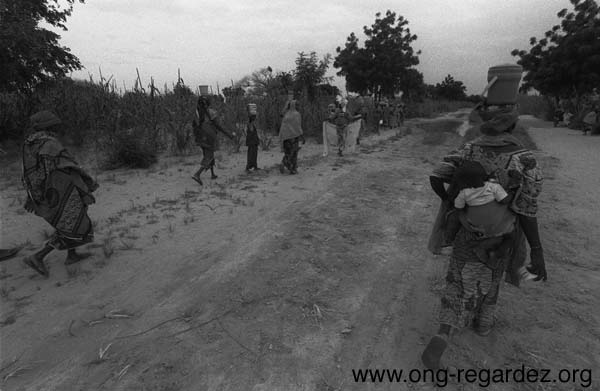 niger59.jpg