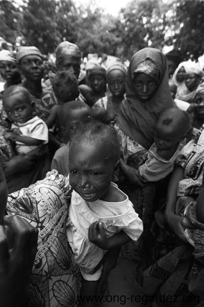 niger62.jpg