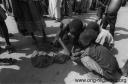 niger56.jpg